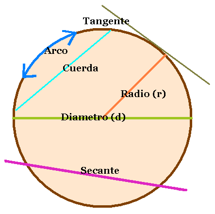 Elementos de la circunferencia