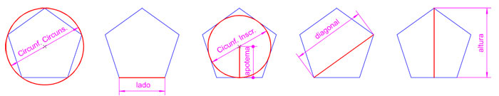 Elementos del pentágono